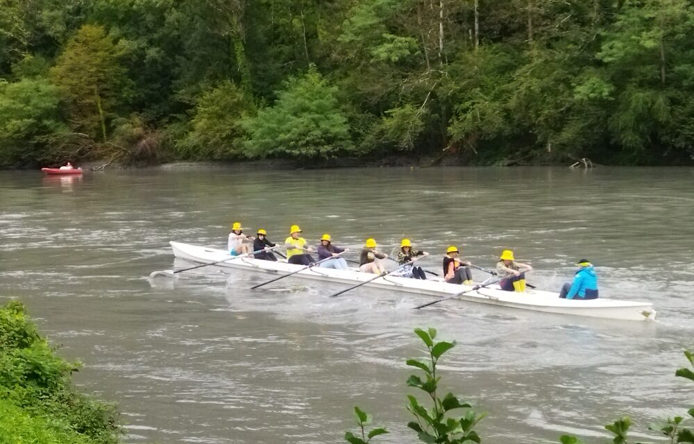 Aviron en Sud Grésivaudan