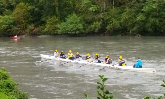 Aviron en Sud Grésivaudan