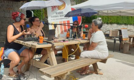 Les artistes s&rsquo;expriment au festival Presles en voix
