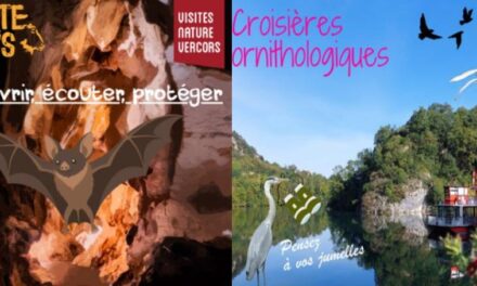 Croisières ornitho. et nuit chauves souris avec Visite nature Vercors
