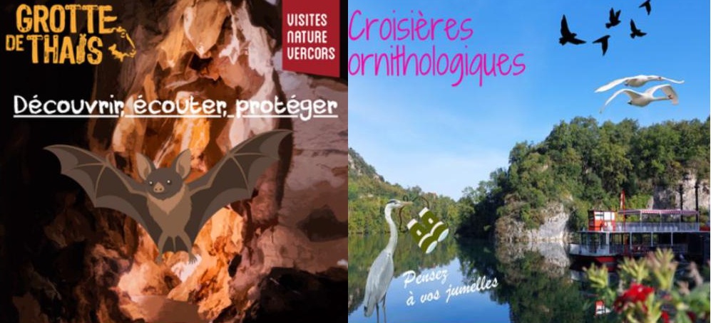 Croisières ornitho. et nuit chauves souris avec Visite nature Vercors